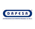 Dapesa Restore Restaurador de Motores